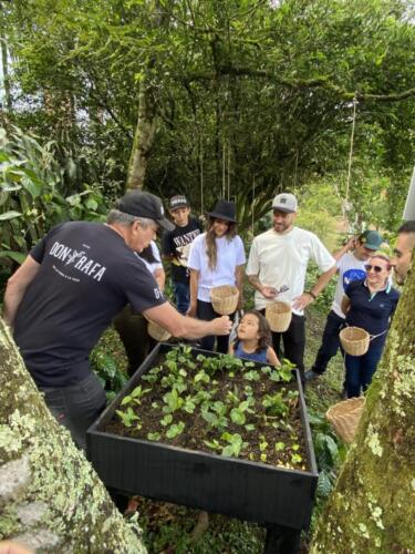 Tour del Café | Medellín